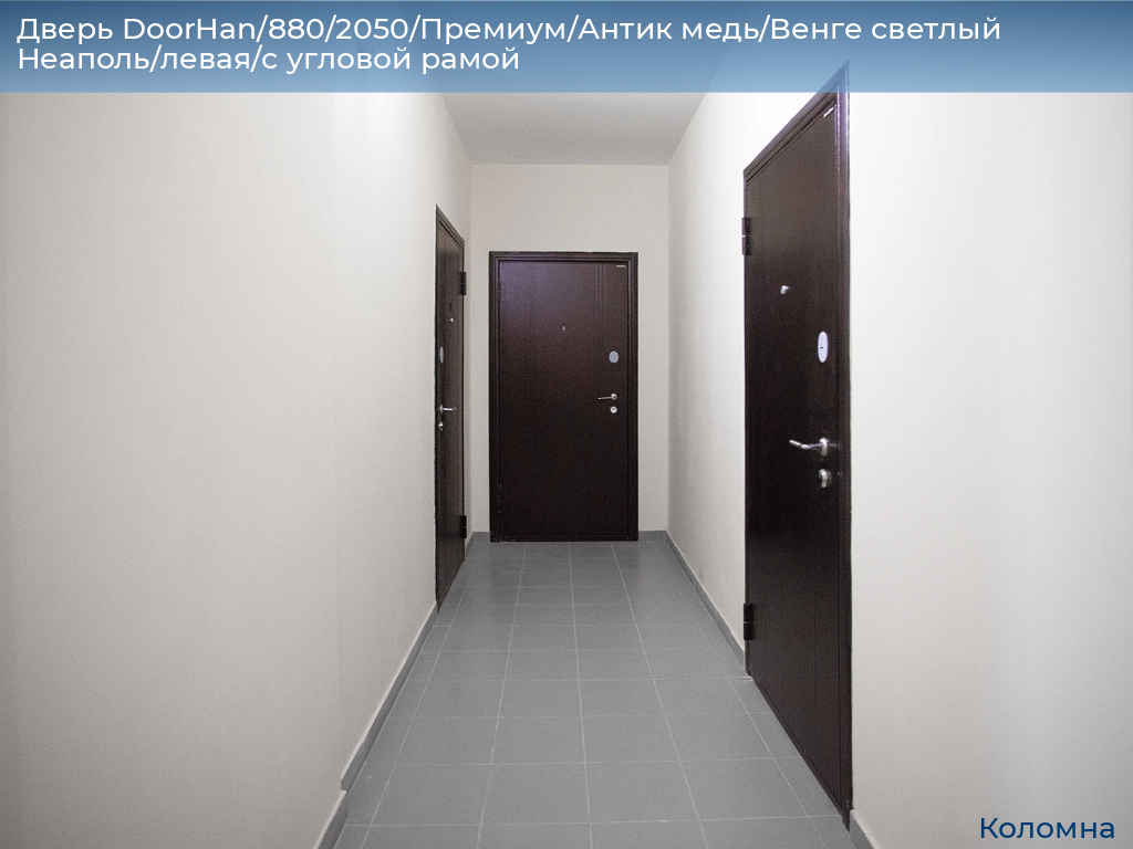 Дверь DoorHan/880/2050/Премиум/Антик медь/Венге светлый Неаполь/левая/с угловой рамой, kolomna.doorhan.ru