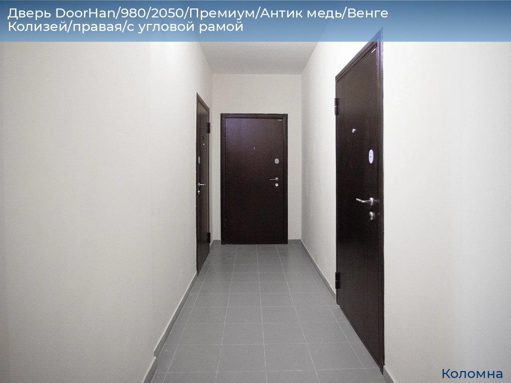 Дверь DoorHan/980/2050/Премиум/Антик медь/Венге Колизей/правая/с угловой рамой, kolomna.doorhan.ru