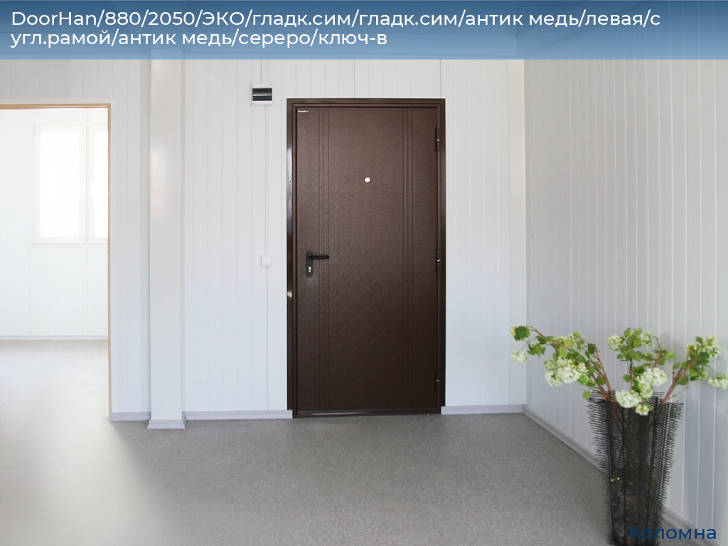 DoorHan/880/2050/ЭКО/гладк.сим/гладк.сим/антик медь/левая/с угл.рамой/антик медь/сереро/ключ-в, kolomna.doorhan.ru