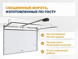 Секционные ворота 2500х2050 мм антрацитовые DoorHan rsd02